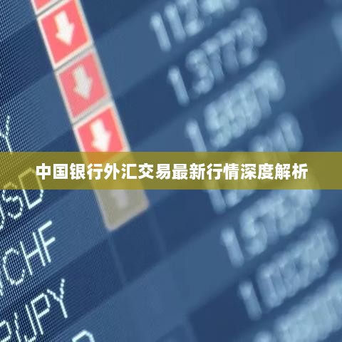 中国银行外汇交易最新行情深度解析