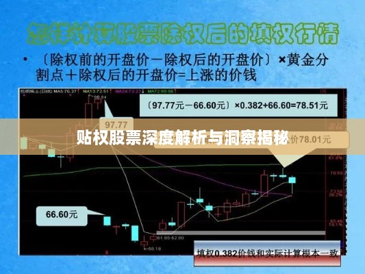 2025年2月8日