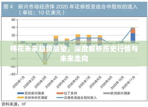 棉花未来趋势展望，深度解析历史行情与未来走向