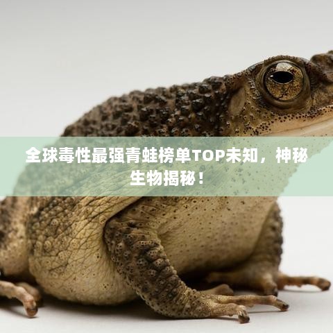 全球毒性最强青蛙榜单TOP未知，神秘生物揭秘！