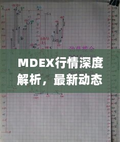 MDEX行情深度解析，最新动态与趋势预测