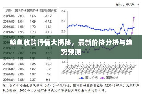 鲶鱼收购行情大揭秘，最新价格分析与趋势预测