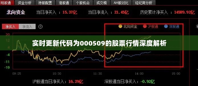 实时更新代码为000509的股票行情深度解析