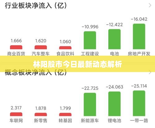 林阳股市今日最新动态解析