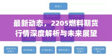 最新动态，2205燃料期货行情深度解析与未来展望