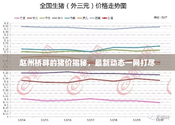 2025年2月13日 第11页