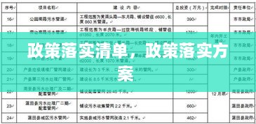 政策落实清单，政策落实方案 