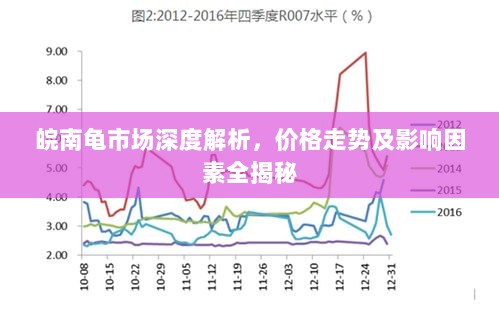 皖南龟市场深度解析，价格走势及影响因素全揭秘