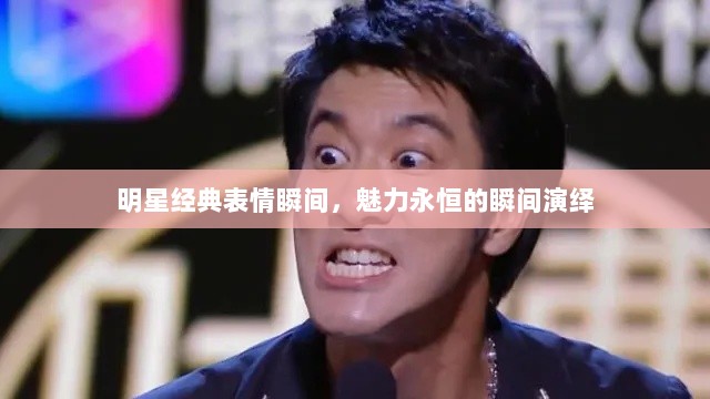 明星经典表情瞬间，魅力永恒的瞬间演绎