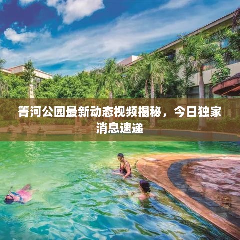 箐河公园最新动态视频揭秘，今日独家消息速递