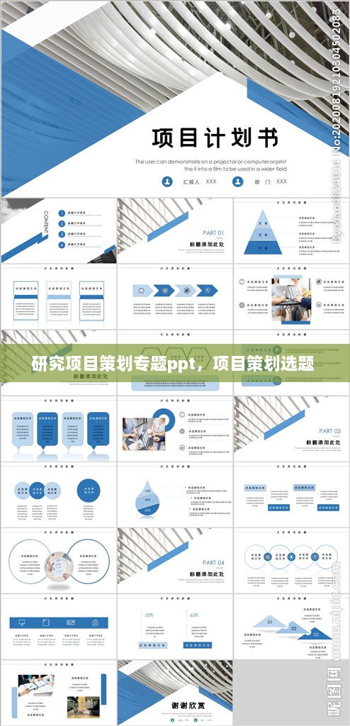 研究项目策划专题ppt，项目策划选题 