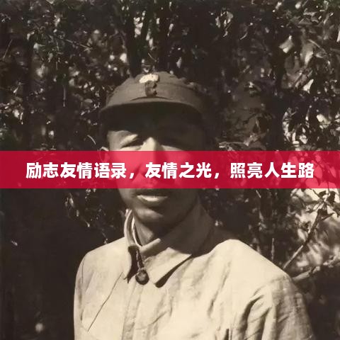 励志友情语录，友情之光，照亮人生路