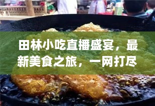 田林小吃直播盛宴，最新美食之旅，一网打尽的小吃诱惑