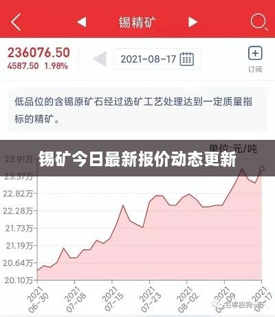 锡矿今日最新报价动态更新