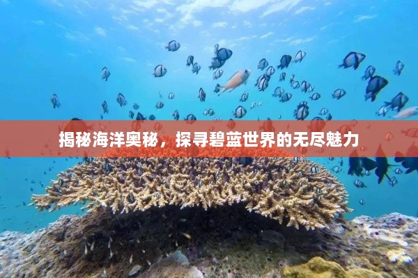 揭秘海洋奥秘，探寻碧蓝世界的无尽魅力