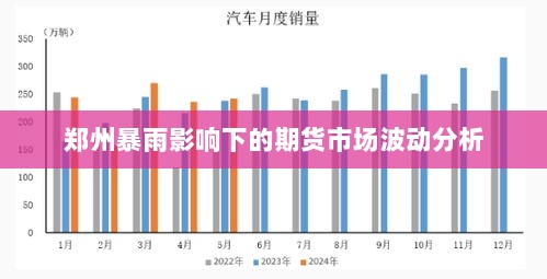 郑州暴雨影响下的期货市场波动分析