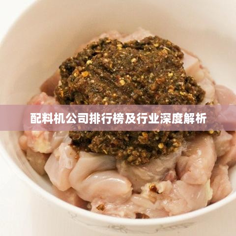 配料机公司排行榜及行业深度解析