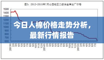 今日人棉价格走势分析，最新行情报告