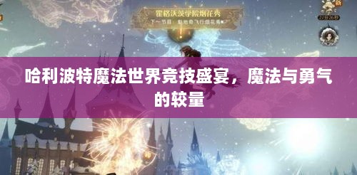 哈利波特魔法世界竞技盛宴，魔法与勇气的较量