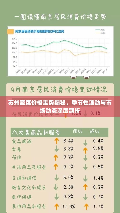 苏州蔬菜价格走势揭秘，季节性波动与市场动态深度剖析