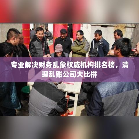 专业解决财务乱象权威机构排名榜，清理乱账公司大比拼