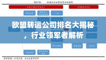 欧盟转运公司排名大揭秘，行业领军者解析