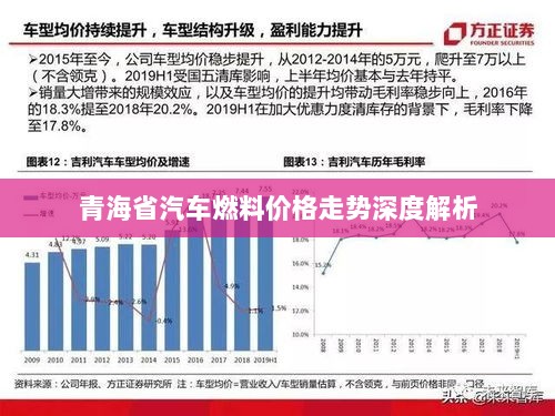 青海省汽车燃料价格走势深度解析