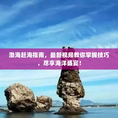 渤海赶海指南，最新视频教你掌握技巧，尽享海洋盛宴！