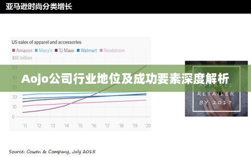 Aojo公司行业地位及成功要素深度解析