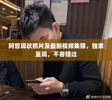 阿哲现状照片及最新视频集锦，独家呈现，不容错过