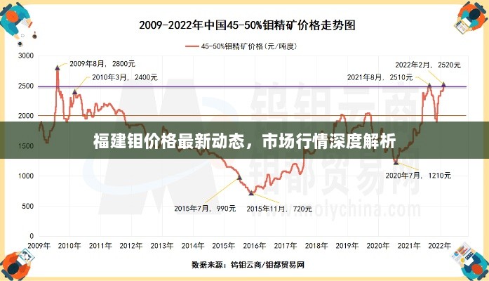 福建钼价格最新动态，市场行情深度解析