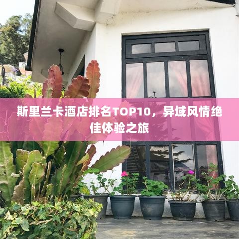 斯里兰卡酒店排名TOP10，异域风情绝佳体验之旅