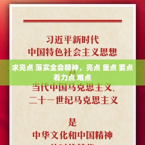 求亮点 落实全会精神，亮点 重点 要点 着力点 难点 