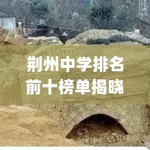 荆州中学排名前十榜单揭晓！顶尖学子聚集地，教育实力震撼展现