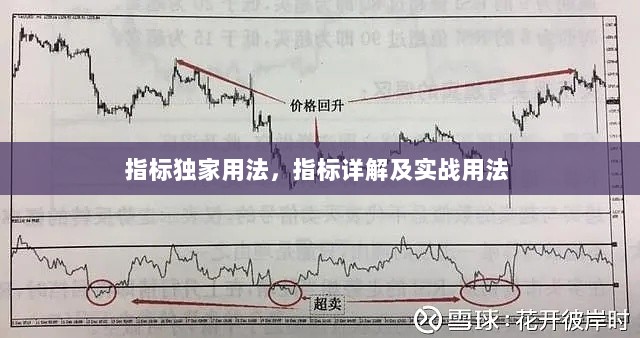 指标独家用法，指标详解及实战用法 