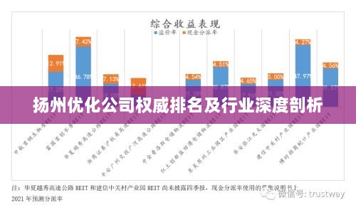 扬州优化公司权威排名及行业深度剖析