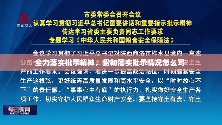 全力落实批示精神，贯彻落实批示情况怎么写 