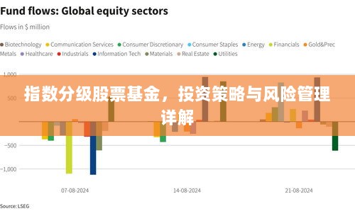 指数分级股票基金，投资策略与风险管理详解