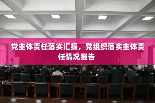 党主体责任落实汇报，党组织落实主体责任情况报告 