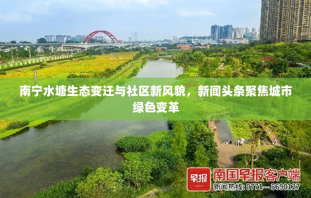 南宁水塘生态变迁与社区新风貌，新闻头条聚焦城市绿色变革