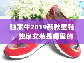 独家牛2019新款童鞋，独家女装是哪里的品牌 