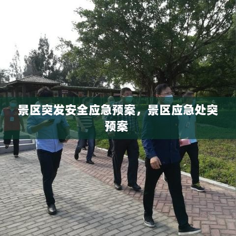 景区突发安全应急预案，景区应急处突预案 