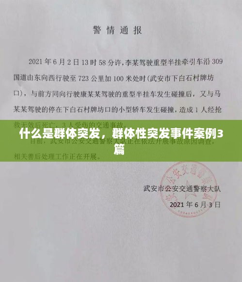 什么是群体突发，群体性突发事件案例3篇 